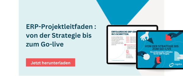 ERP Projektleitfaden E-Book Cegeka Österreich Microsoft Dynamics 365