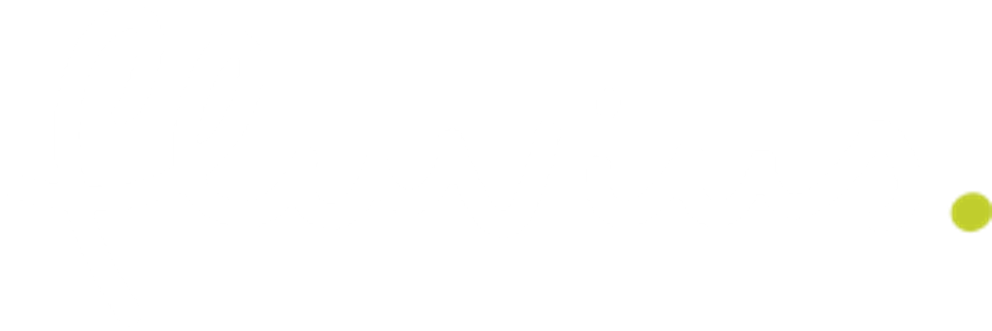 fluvius logo white