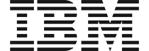 Logo_IBM_210x72px