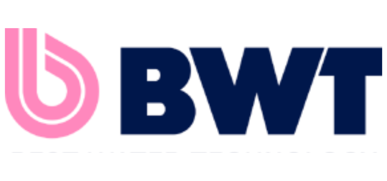 BWT - Logo - Projects and Services -  Cegeka - Microsoft Dynamics 365 ERP